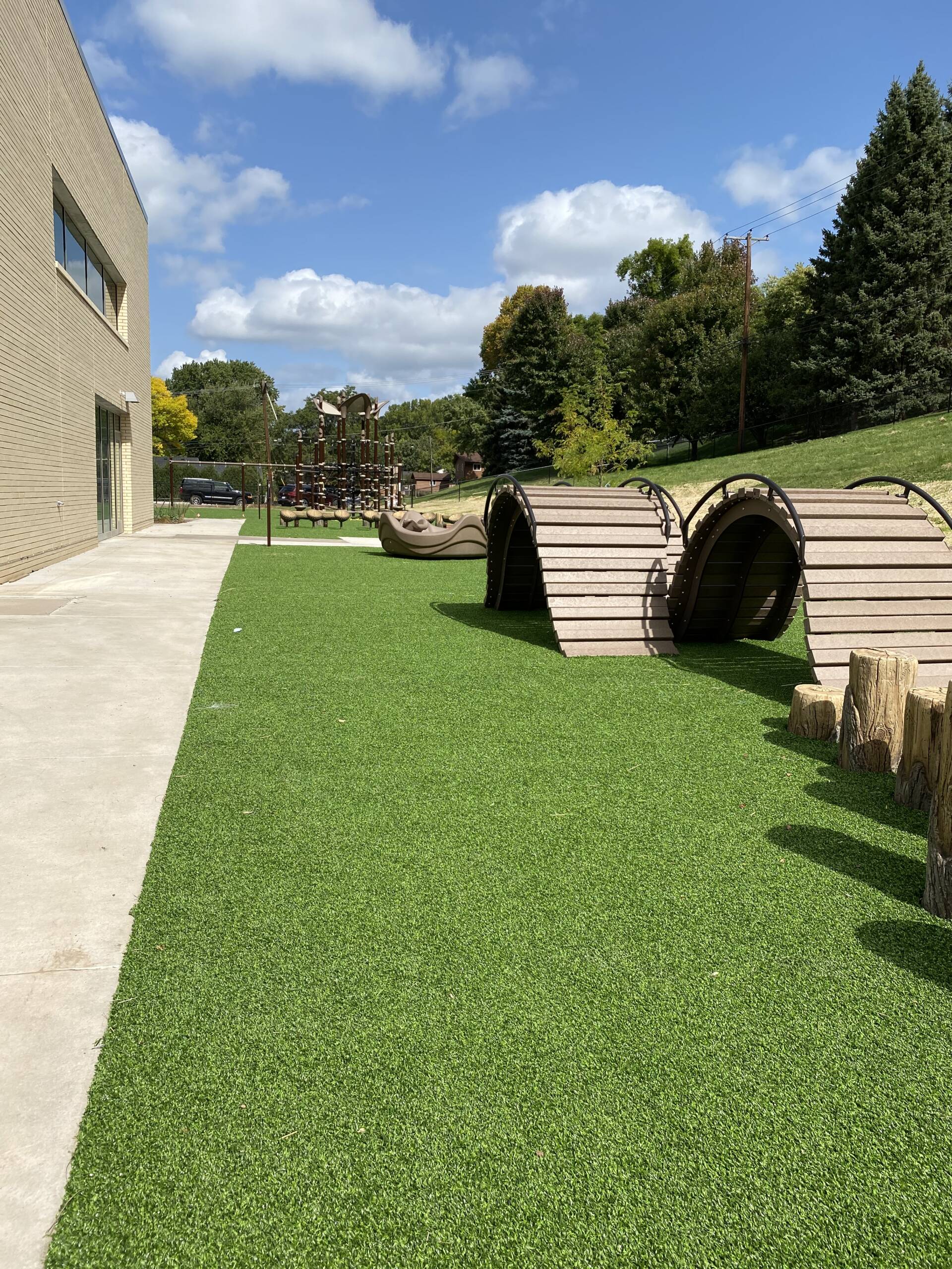 Turf Courtyards Pet Friendly Turf Courtyards Built for Minnesota Homes