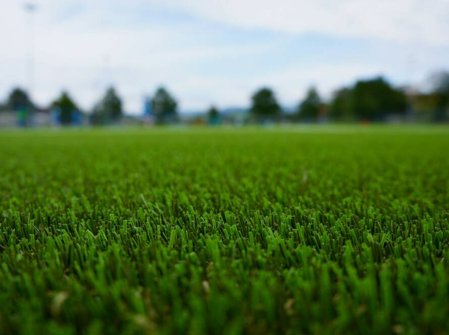 Synthetic Turf